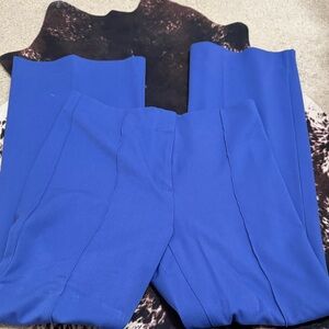 Ann Taylor Vibrant Blue Women's Trousers